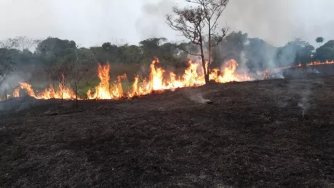 Inpe detecta 31 focos de queimadas no Acre em apenas 48 horas.