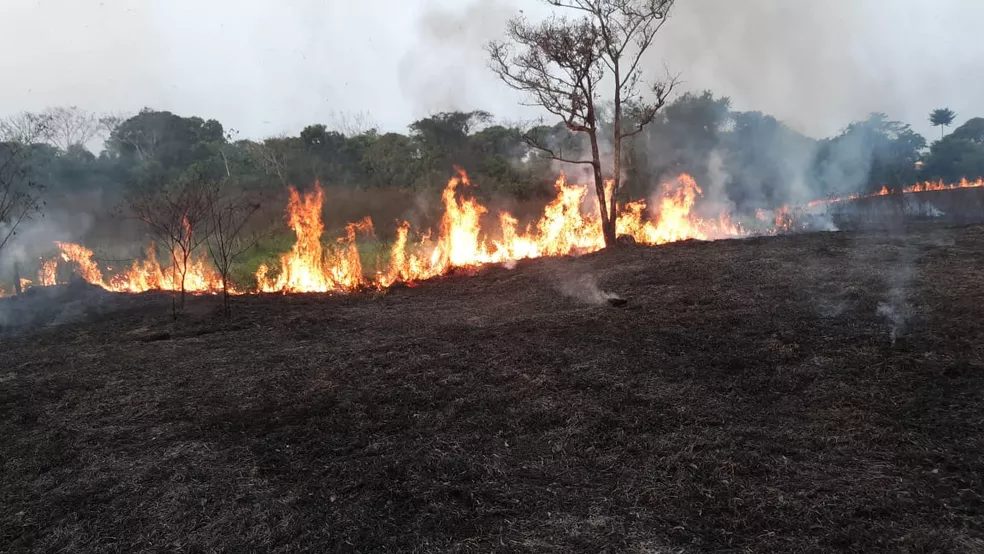 Inpe detecta 31 focos de queimadas no Acre em apenas 48 horas
