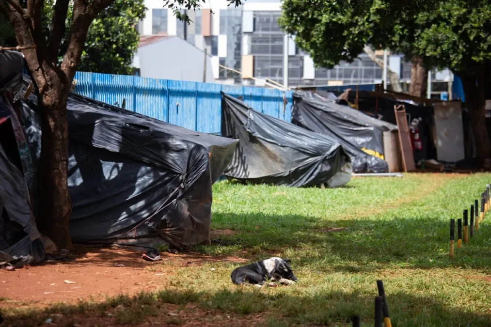TCDF quer saber destino de pessoas em situação de rua após acolhimento