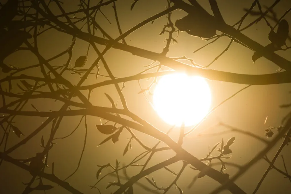 Tempo seco se intensifica em MG, e termômetros podem chegar aos 36°C