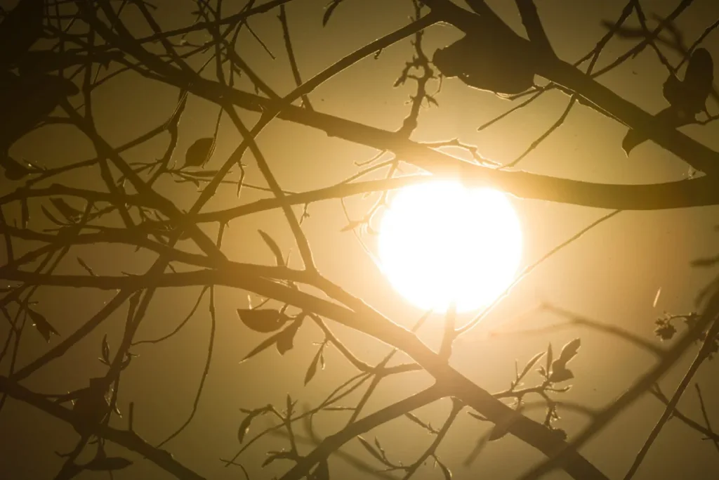 Tempo seco se intensifica em MG, e termômetros podem chegar aos 36°C