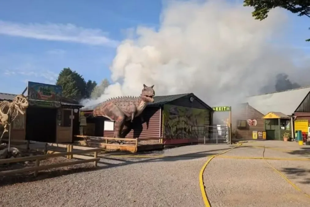 Zoológico da Inglaterra confirma morte de animais após incêndio