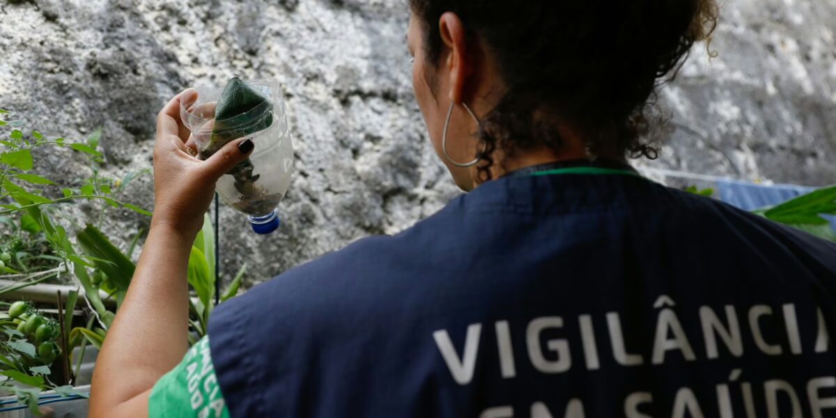 São Paulo tem mais de 58 mil casos de dengue desde o início do ano