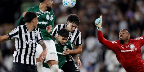 Botafogo segura Palmeiras e ajuda Flamengo, novo líder do Brasileirão