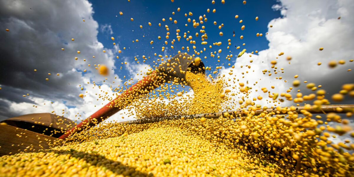 Produção agrícola brasileira superou R$ 927 bilhões em 2025
