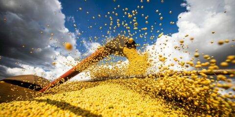 Produção agrícola brasileira superou R$ 927 bilhões em 2025
