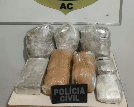 Droga apreendida pela Polícia Civil durante operação em Feijó.