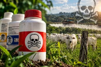 Área rural de Sena Madureira incluída em investigação do MPAC sobre possível uso irregular de agrotóxicos em vegetação nativa.