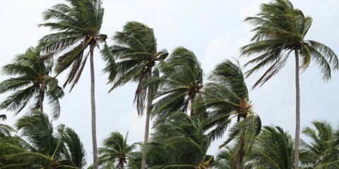 Defesa Civil do Rio emite novo alerta para chuvas e ventanias