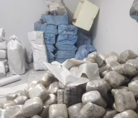 Drogas apreendidas em bunker localizado por forças de segurança do Acre e Rondônia em Ariquemes