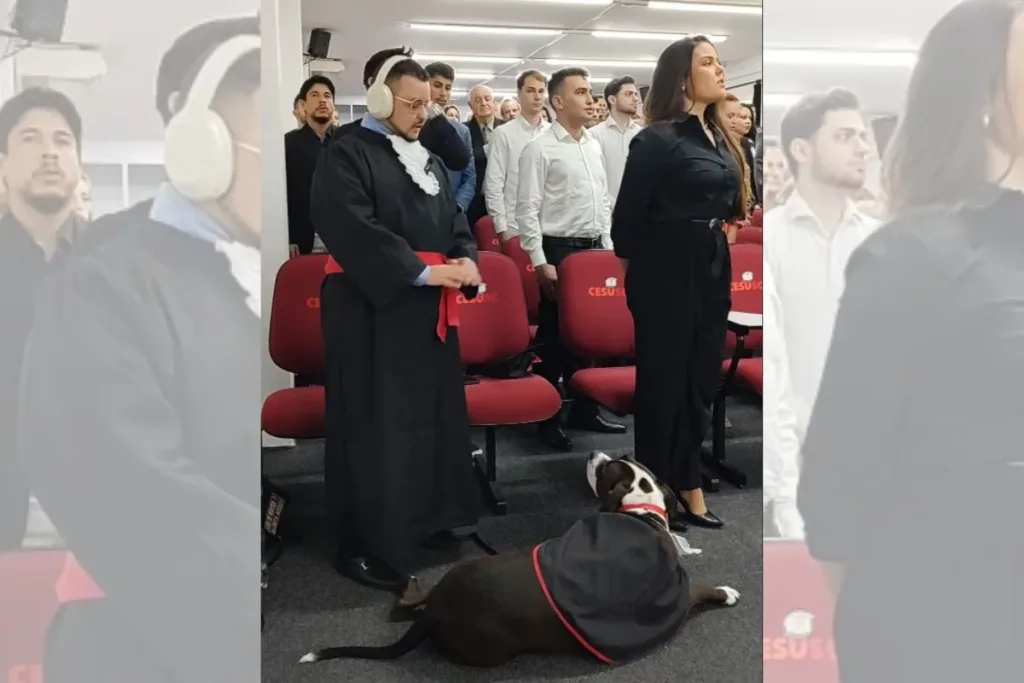 Cão de assistência acompanha advogado autista em colação de grau