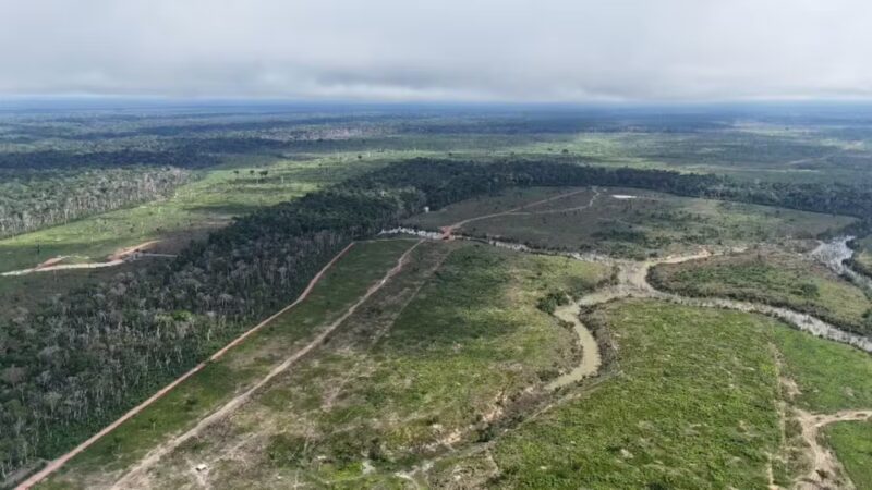 MPAC investiga danos ambientais em área de famílias extrativistas no Acre