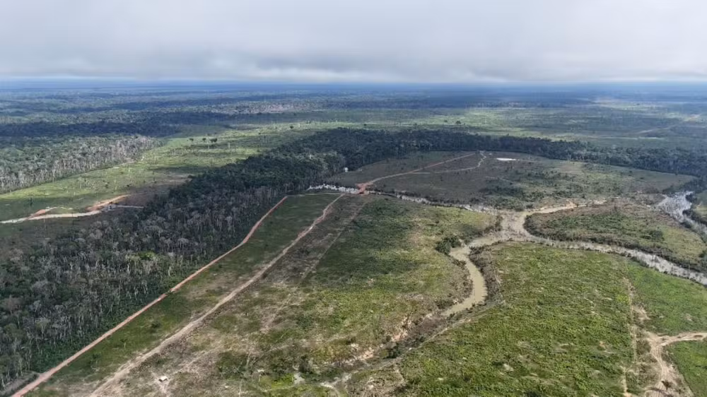 MPAC investiga danos ambientais em área extrativista no Acre e pede medidas urgentes