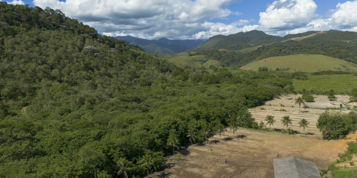 Agricultura ganha 11 milhões de hectares em 41 anos na Mata Atlântica