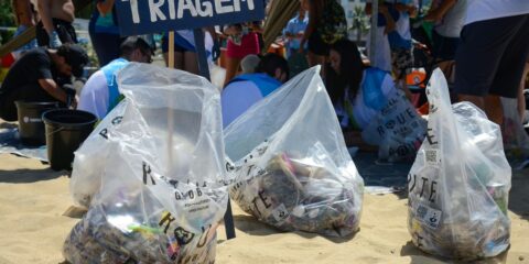 Praias de cinco estados vão receber mutirões de limpeza em setembro