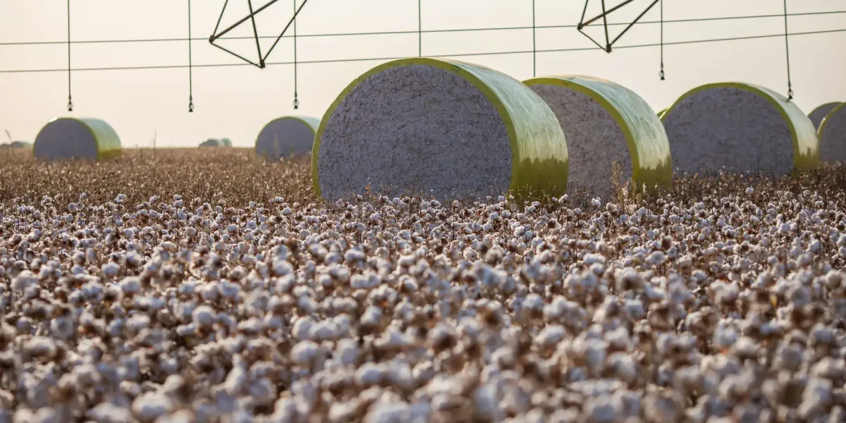 Entenda mudança no mapa que tirou Sorriso do topo da produção agrícola