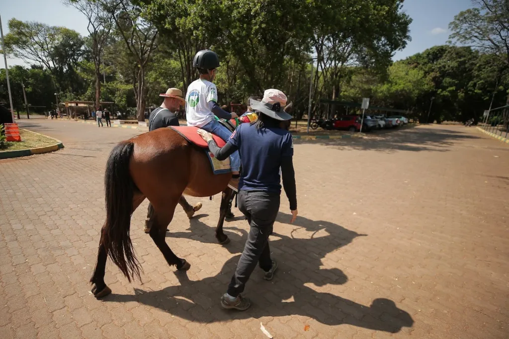 Equoterapia transforma vida de jovens com deficiências e transtornos no DF