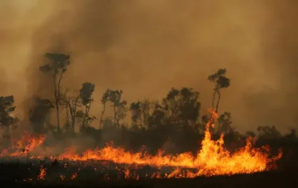 focos de calor no Acre e qualidade do ar ruim em cinco municípios