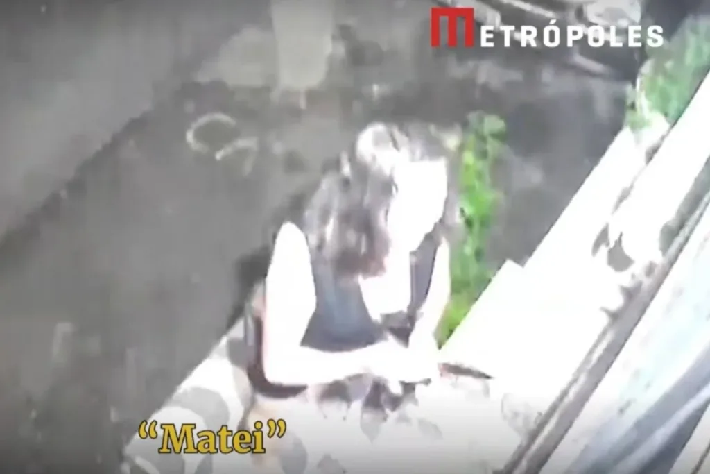 "Matei ela", confessa mulher que esfaqueou e matou "vovó tiktoker" em SP