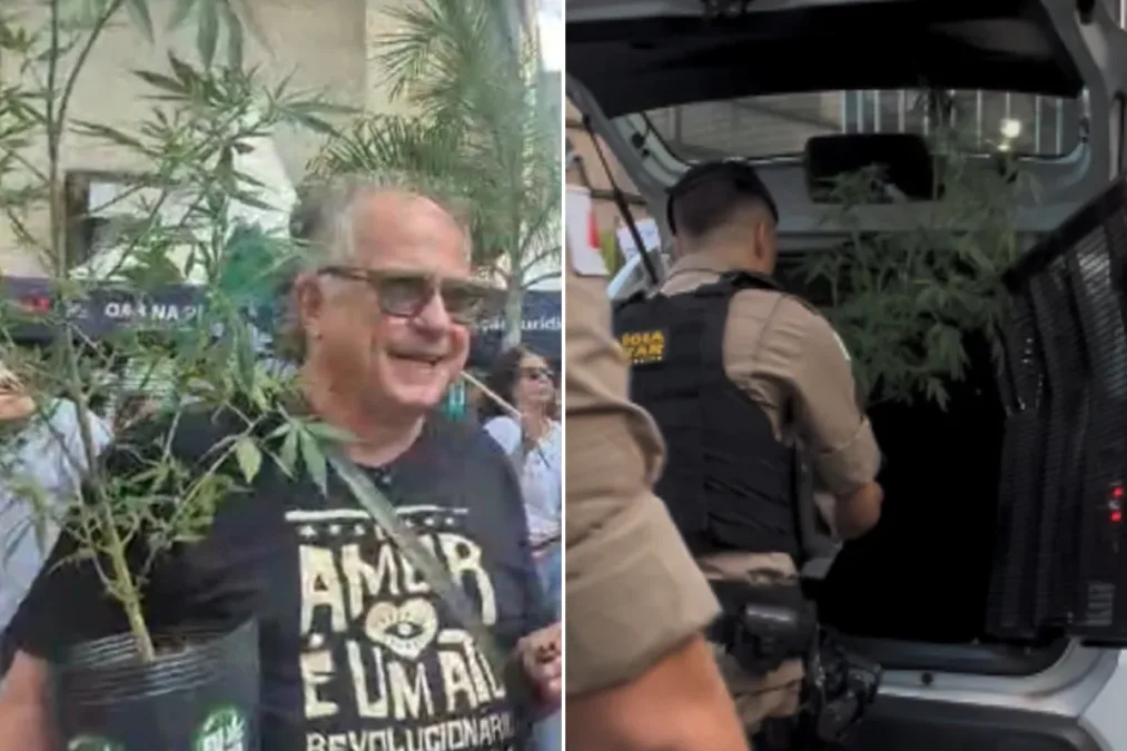 PC vê possibilidade de devolver pé de maconha levado de camburão em BH
