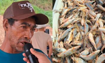 Pescador do rio Purus exibe captura de mandi durante a piracema