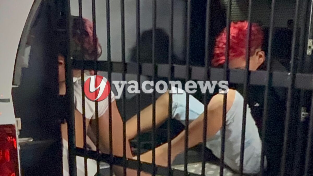 Adolescentes apreendidos após assaltos no Parque da Maternidade usavam arma de brinquedo