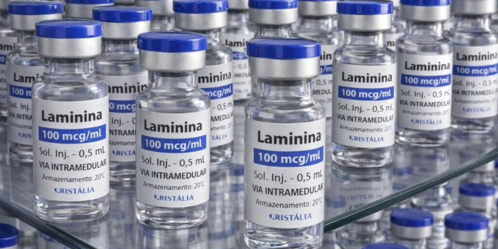 Testes clínicos fase 1 da polilaminina começam este mês