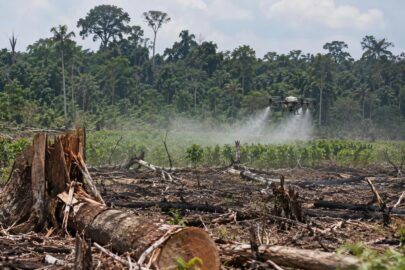 MPAC investiga possível uso irregular de agrotóxicos em áreas de vegetação no Acre.