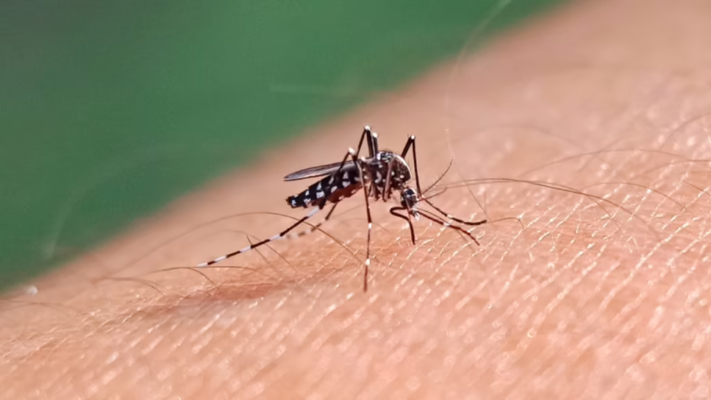 Casos prováveis de dengue mais que dobram no Acre em agosto